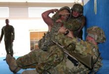 Developing a Combat Mindset: Army Combatives Program Developing a Combat Mindset: Army Combatives Program
